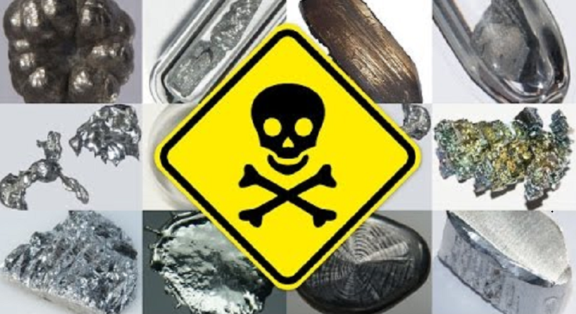 How Cadmium Affects Human Health: Sources, Exposure, and Risks