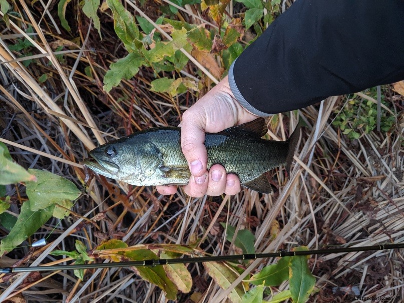 Rapid Prototyping of a Bike‑Mounted Fishing Rig: From CAD to the Water