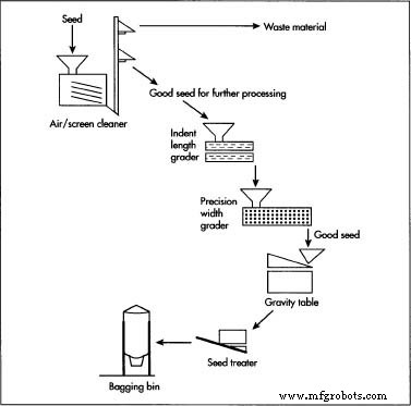 Birdseed Production: From Raw Ingredients to Market – A Comprehensive Guide