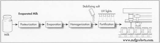 Evaporated vs. Condensed Milk: Production, History, and Quality Standards