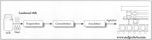 Evaporated vs. Condensed Milk: Production, History, and Quality Standards
