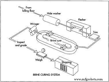 Patent Leather: History, Production, and Environmental Impact