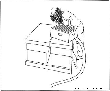 Honey: Production, Quality, and Future Challenges