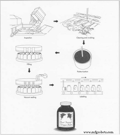 Jam and Jelly Production: History, Ingredients, and Modern Manufacturing