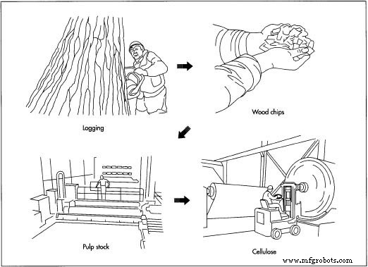 Lyocell: A Sustainable, Strong Cellulose Fiber for Fashion and Industry