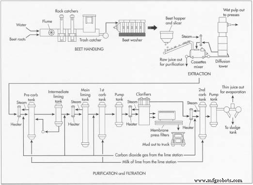 Molasses: From Sugar Production to Culinary and Industrial Applications