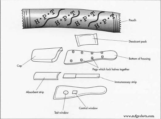 Home Pregnancy Test: How It Works, Design, and Future