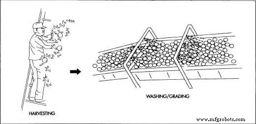 Premium Orange Juice – Fresh, Natural, and Ready to Enjoy