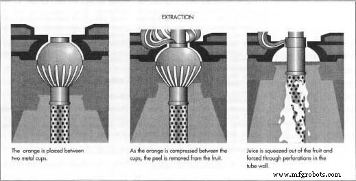 Premium Orange Juice – Fresh, Natural, and Ready to Enjoy