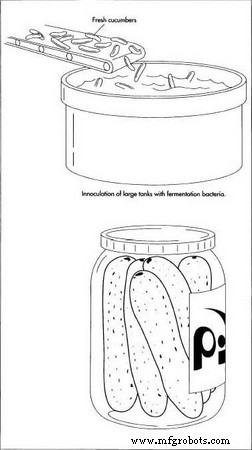 Pickles: From Ancient Roots to Modern Production