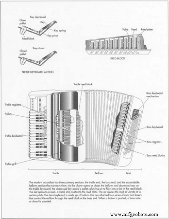 Accordion: From Free‑Reed Origins to Modern Innovations