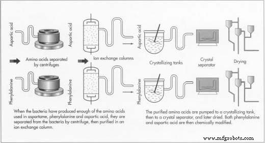 Aspartame: The Sweet Science Behind Low‑Calorie Foods