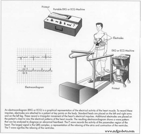Comprehensive Overview of Modern ECG Machines: Technology, Manufacturing, and Future Innovations