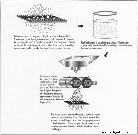 Flour Production: From Ancient Milling to Modern Quality Assurance
