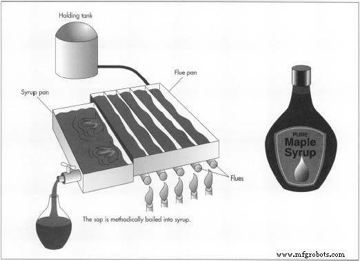 The Sweet Journey of Maple Syrup: From Native Roots to Modern Delight