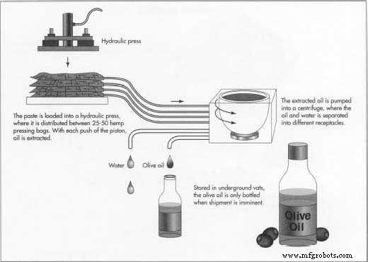 Olive Oil: From Ancient Traditions to Modern Production