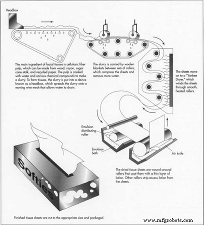 Softening Tissues: How Lotion Enhances Comfort & Performance