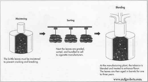 Cigarettes: The Global Journey of Tobacco from Native Cultures to Modern Times