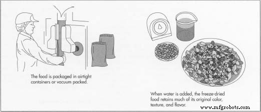 The Complete Guide to Freeze‑Dried Food: Preservation, Production, and Future Trends