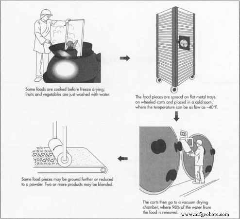 The Complete Guide to Freeze‑Dried Food: Preservation, Production, and Future Trends