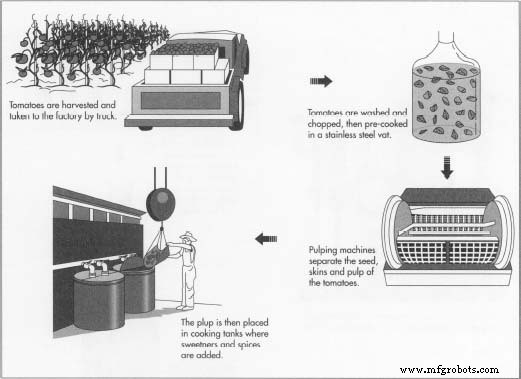 The History, Production, and Future of Ketchup: From Ancient China to Modern Kitchens