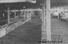 The History, Production, and Future of Ketchup: From Ancient China to Modern Kitchens