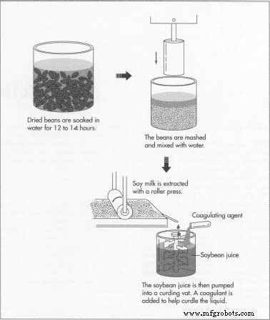 Tofu: History, Production, and Health Benefits