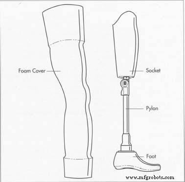 The Evolution and Modern Science of Prosthetic Limbs
