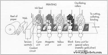 The Evolution and Production Process of Modern Books