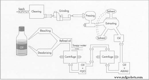 The Complete Guide to Cooking Oil: Production, Quality, and Sustainability