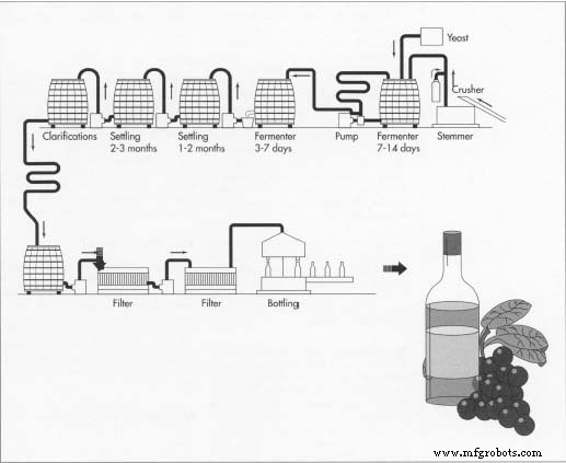 An Expert Guide to Wine Production, History, and Quality Control