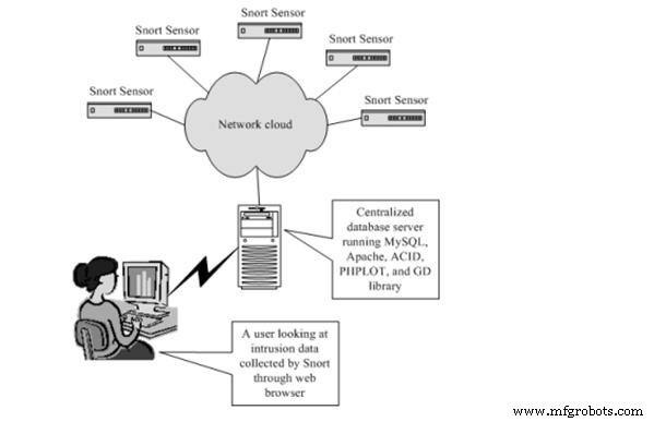 Intrusion Detection Systems: Protecting Your Network with Smart Alerts