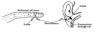 Heartbeat Sensor: How It Works & Practical Applications