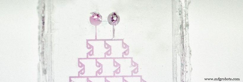 Dr. Bastian Rapp on 3D‑Printed Microfluidics: Advancing Biotech with NeptunLab