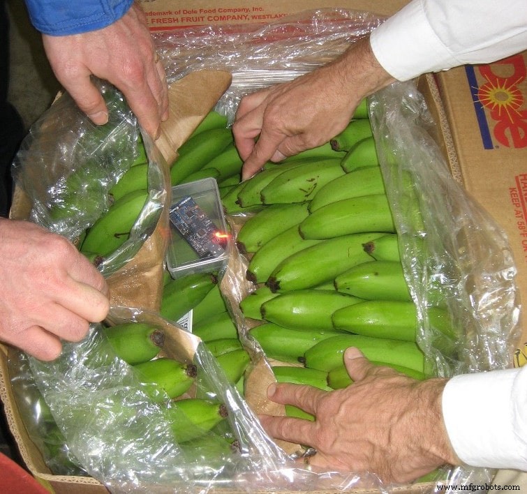 Container 4.0: Revolutionizing Maritime Food Transport with Smart Sensors