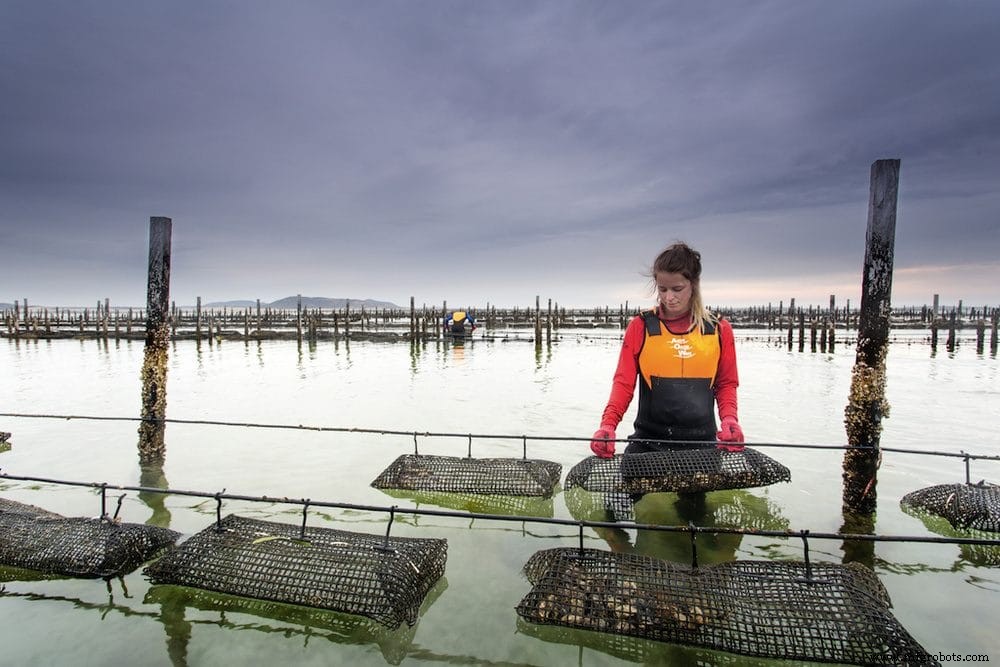 Top IoT Success Stories of 2017