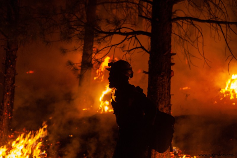 Leveraging IoT for Early Wildfire Detection and Prevention