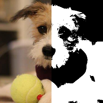 How Open-Source Libraries Accelerate Robot Vision Development