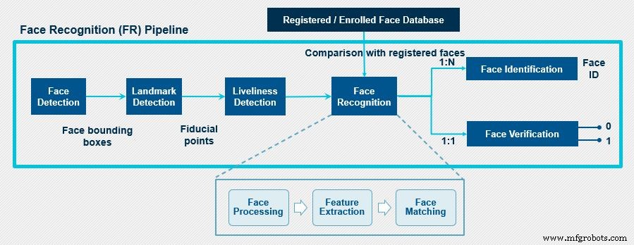 Fundamentals of Facial Recognition: How AI Identifies Faces