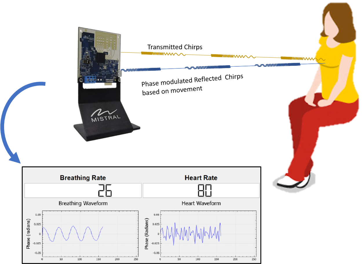 mmWave Radar for Contactless Monitoring of Heart and Breath Rates