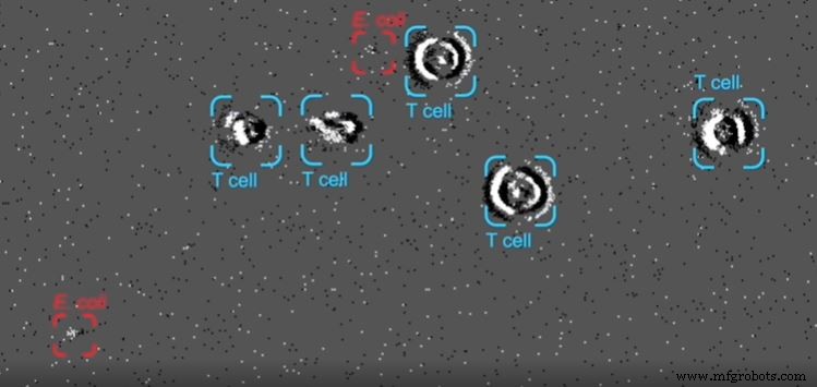 Neuromorphic Vision Drives Breakthroughs from Healthcare to Space