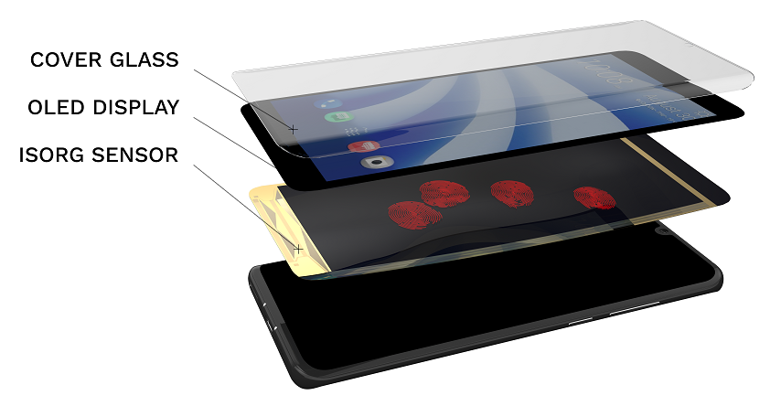 Isorg Launches 6‑inch Full‑Screen Multi‑Finger Fingerprint Sensor