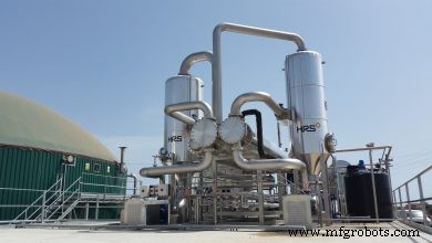 The Rapid Rise of Plant-Based Milk: Market Growth & Consumer Trends