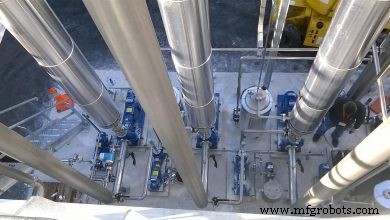 The Rapid Rise of Plant-Based Milk: Market Growth & Consumer Trends