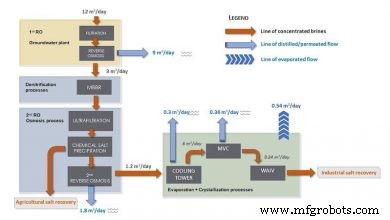 The Rapid Rise of Plant-Based Milk: Market Growth & Consumer Trends