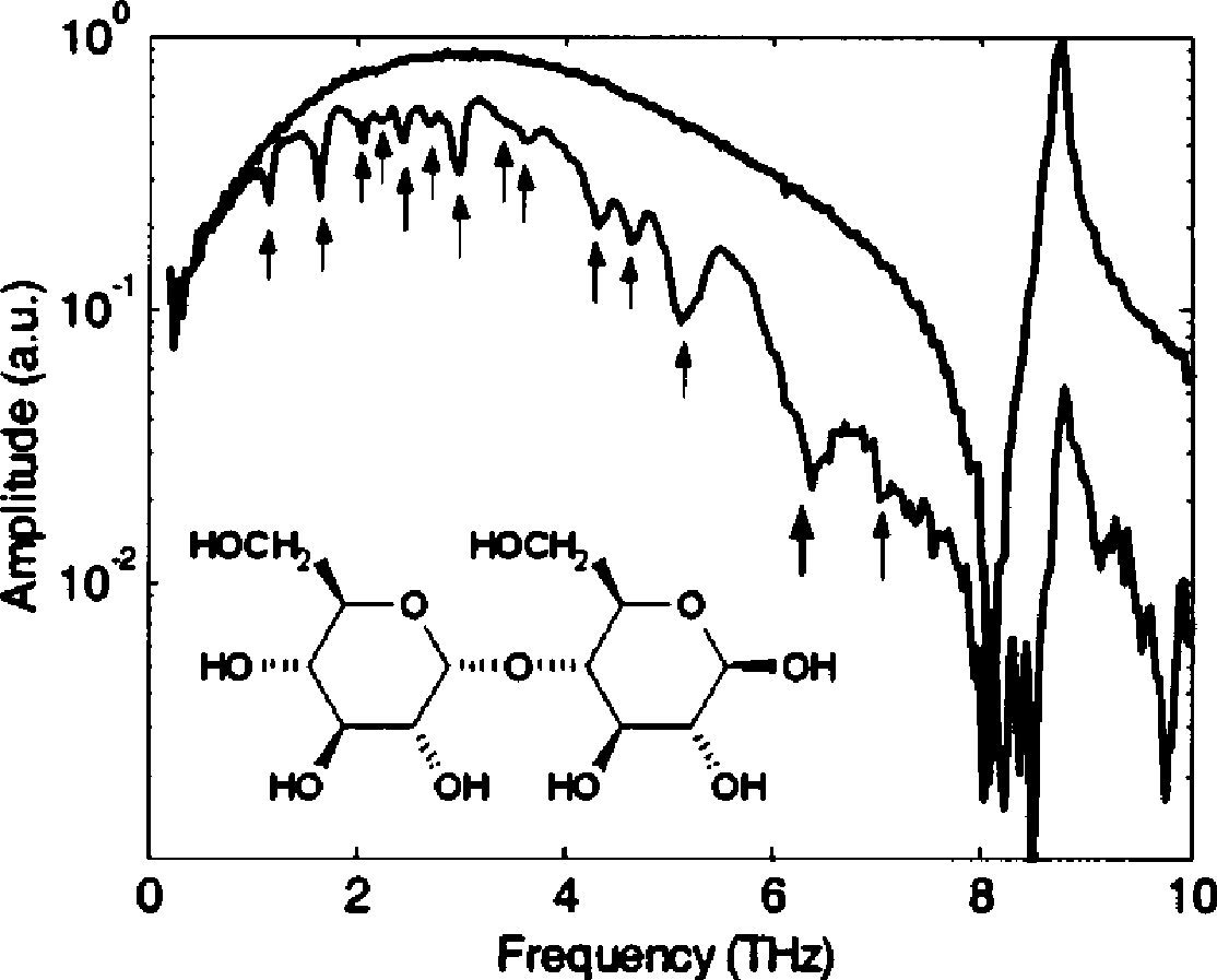 Terahertz Band: Fundamentals, Properties, and Emerging Applications