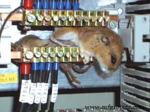 Unexpected Intruders: How Mice, Bats, and Bearing Defects Threaten Industrial Reliability