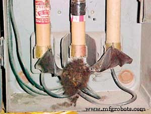 Unexpected Intruders: How Mice, Bats, and Bearing Defects Threaten Industrial Reliability