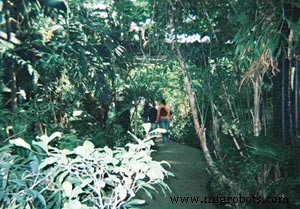 Variable‑Speed Drives Keep Cleveland Metroparks’ RainForest at Optimal Climate