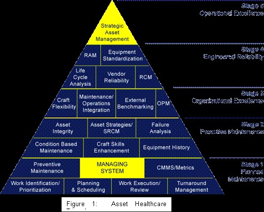Global Landscape of Maintenance: Trends, Practices, and Future Directions